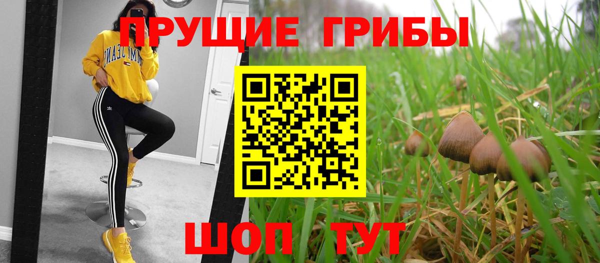 Кирово-Чепецк  Галлюциногенные грибы прущие грибы  Вход с VPN 